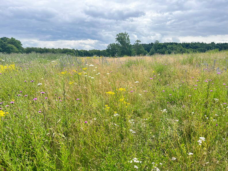 24-07-03 13-59-54 0158